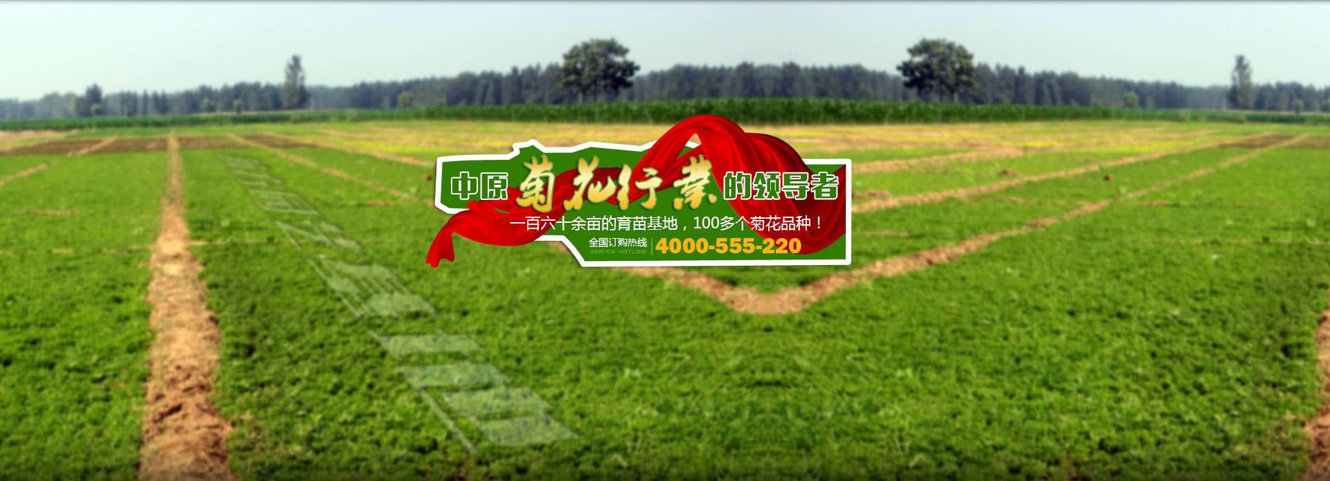 利雅路燃燒器